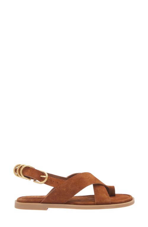 Rag & Bone Women's Gia Toe Loop Sandals In Umber Suede