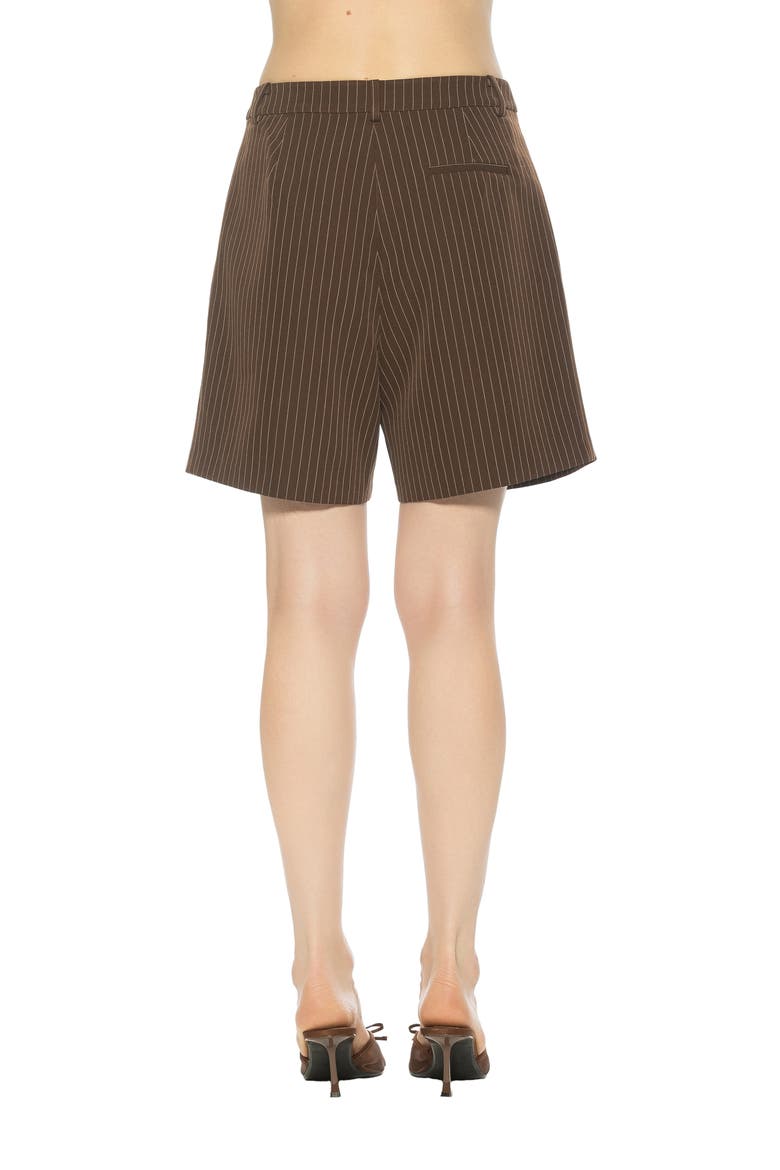Dia Pinstripe Pleated Shorts, Alternate, color, BROWN PINSTRIPE