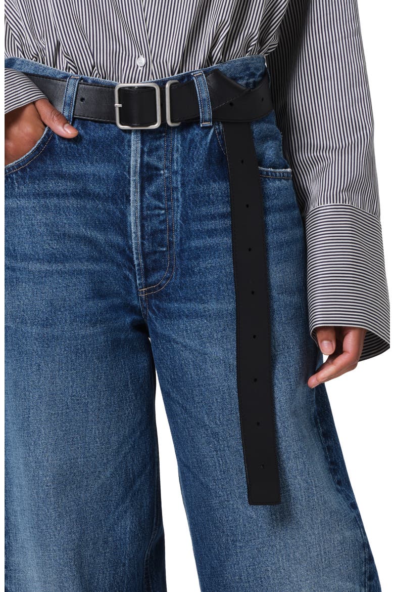 Ayla Baggy Jeans, Alternate, color, CLAREMONT