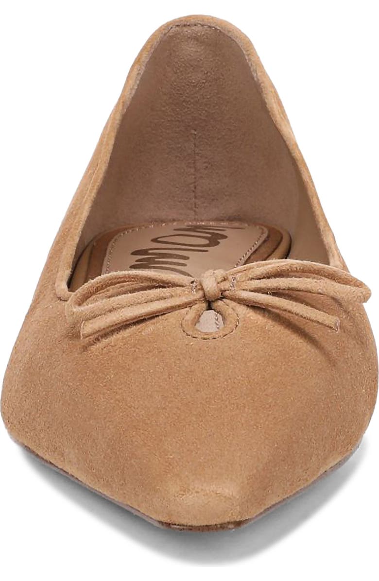 Sam Edelman Esmira Pointed Toe Flat, Alternate, color,
