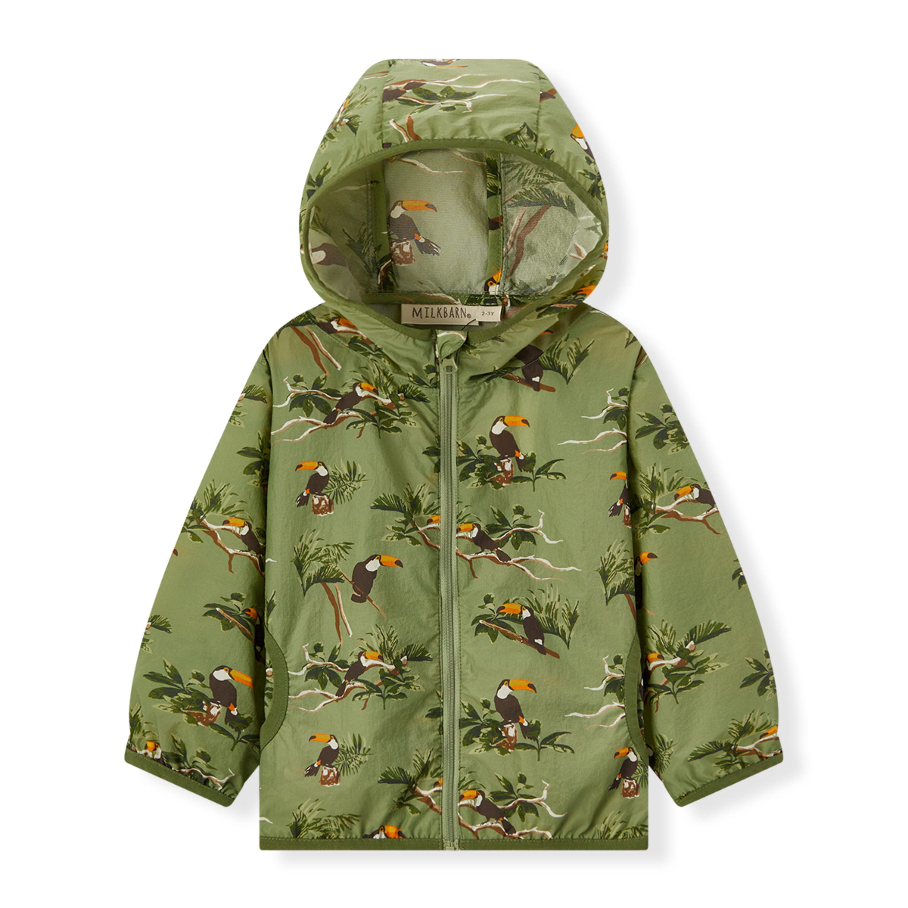 Toucan