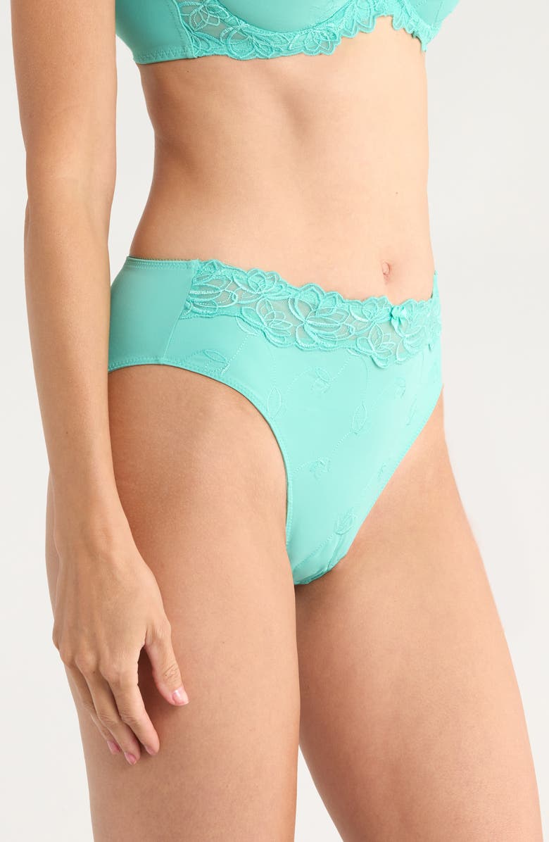Hunkemöller Diva Embroidered Mesh Panties, Alternate, color, Pool Blue