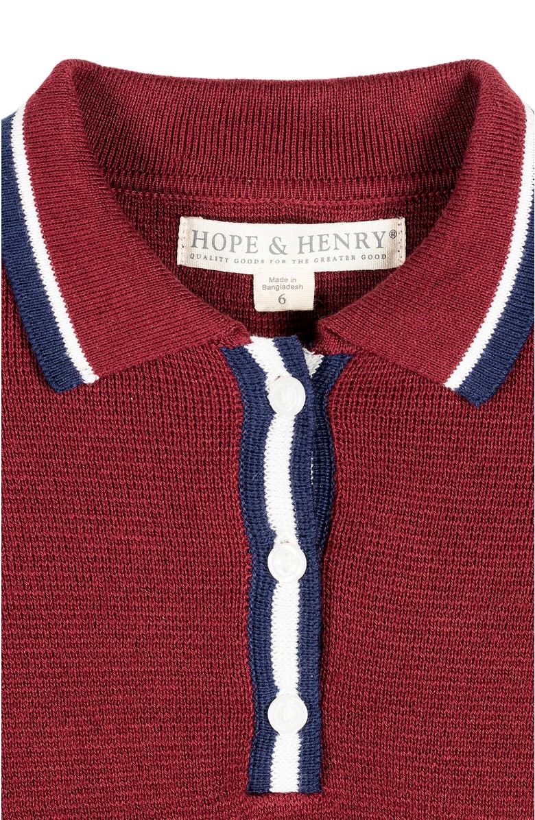 Hope & Henry Baby Girls' Organic Henley Sweater Dress, Infant, Alternate, color, Oxblood With Tipping