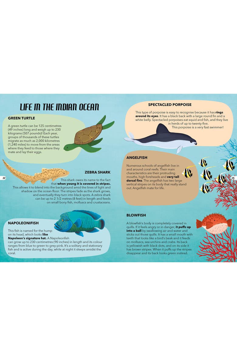 The Sea 205 Piece Puzzle and Book Set, Alternate, color, Multicolored