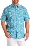 Harbor Bay by DXL Big & Tall Easy-Care Leaf Print Sport Shirt V3