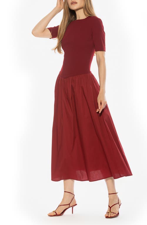 Alexia Admor Rowan Crewneck Midi Dress In Brown