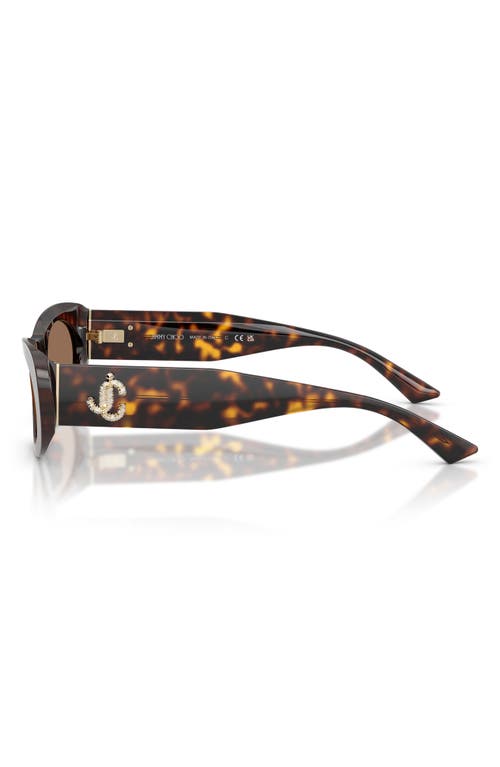 Jimmy Choo Jc 5038bu 500273 54mm Womens Oval Sunglasses In Brown