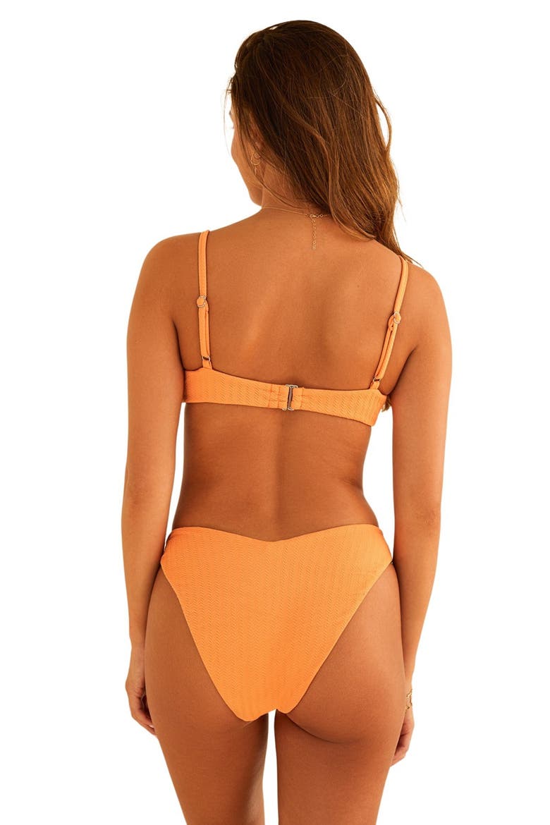 Angel Bottom, Alternate, color, Reef