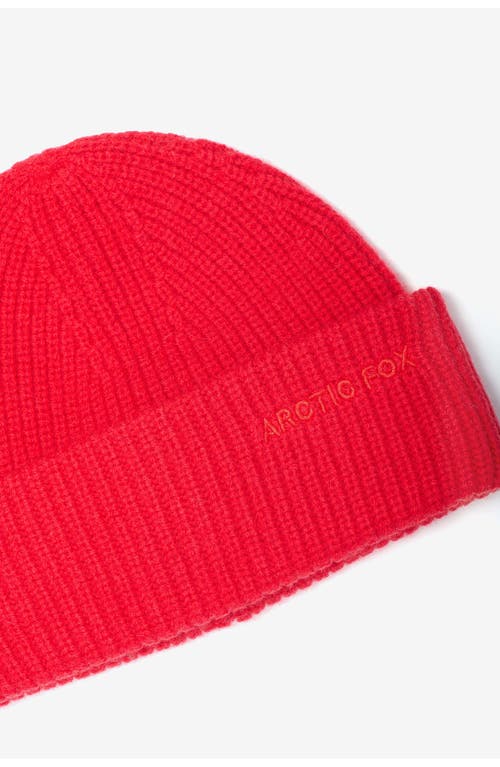 Arctic Fox & Co. Arctic Fox & Co The Embroidered Merino Wool Beanie In Red