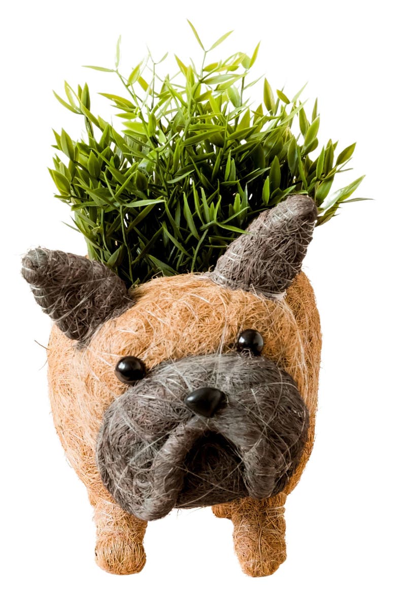 French Bulldog Handwoven Planter, Alternate, color, BROWN / BLACK