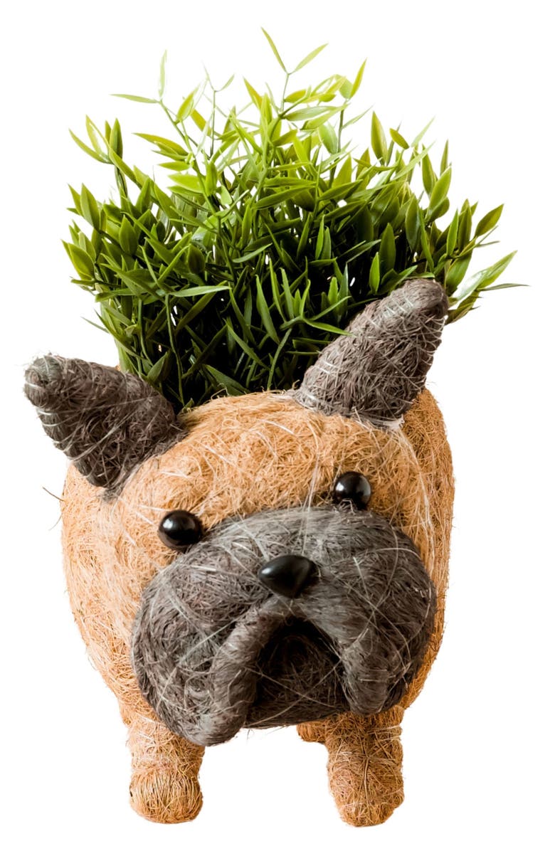 LIKHA French Bulldog Handwoven Planter, Alternate, color,