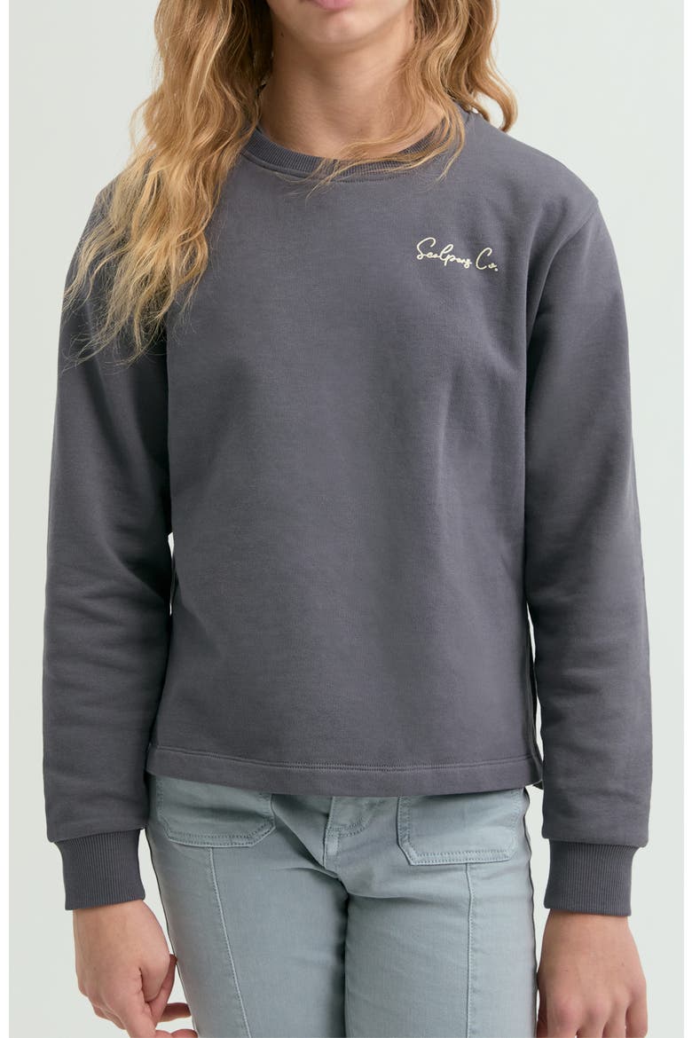 Girl's sweatshirt embroidered with snake motif, Main, color, Anthracite