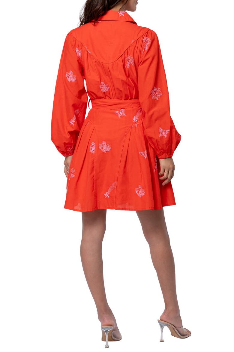 Zephyr Long Sleeve Minidress, Alternate, color, RED/ PINK