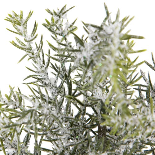 Northlight Mini Frosted Pine Artificial Christmas Trees In Multi