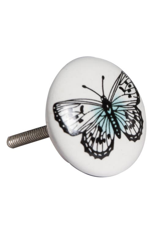 Shop Kinetic 8-pack Knobs In Multi