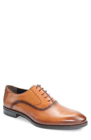 Vellapais Bristol Plain Toe Oxford In Brown