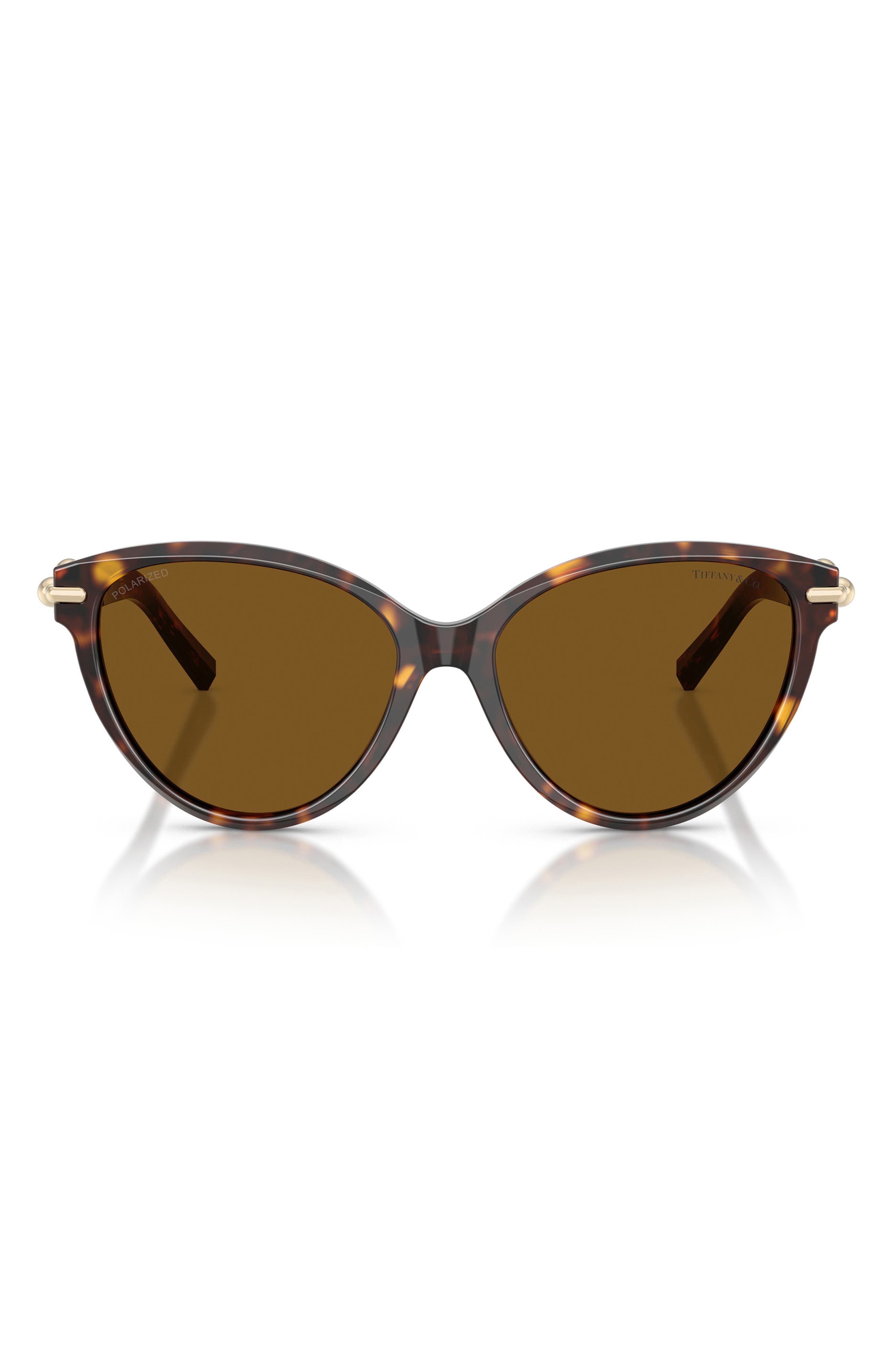 selected HAVANA / DARK BROWN POLAR