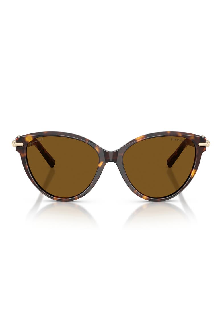56mm Polarized Cat Eye Sunglasses, Main, color, HAVANA / DARK BROWN POLAR