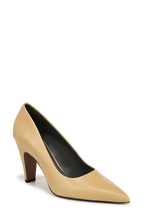 SARTO by Franco Sarto Sage Pointed Toe Pump in Beige 