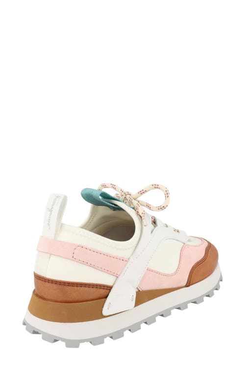Ferragamo Indy Low-top Sneakers In Multi