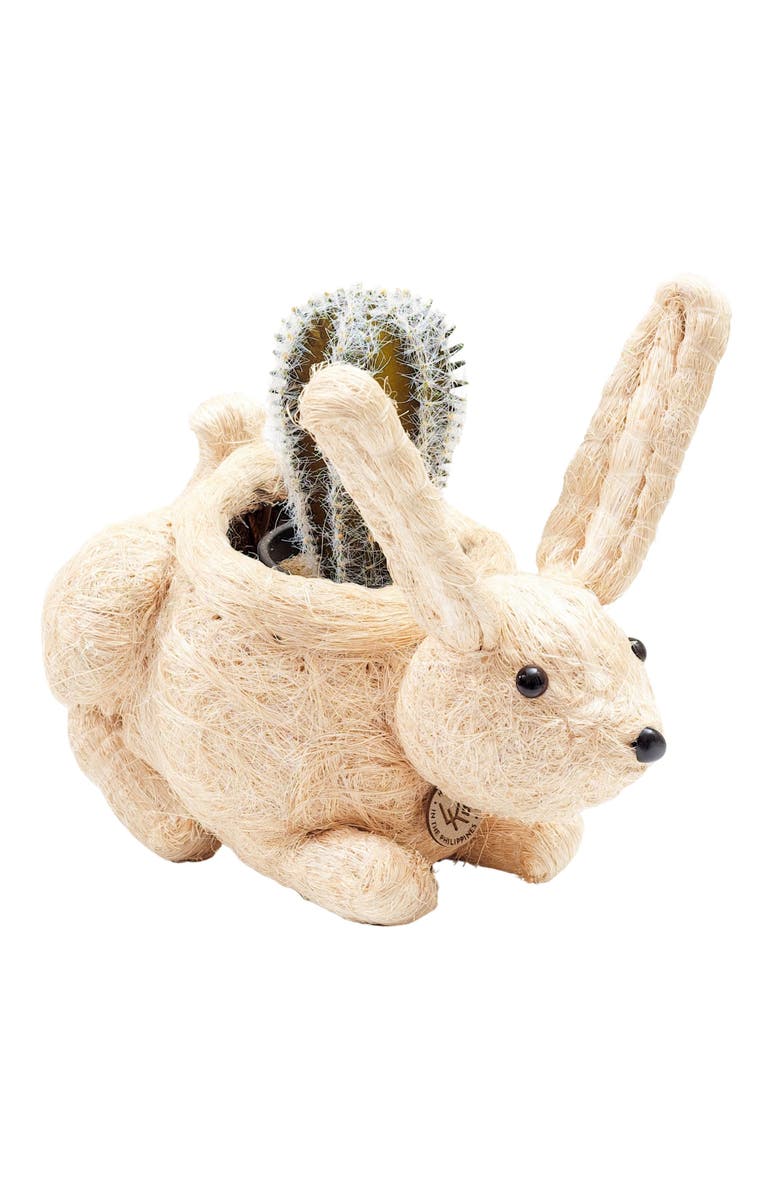LIKHA Bunny Handwoven Planter, Main, color, White