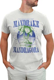 HARRY POTTER Men's Mandrake Mandragora Short Sleeve Graphic T-Shirt