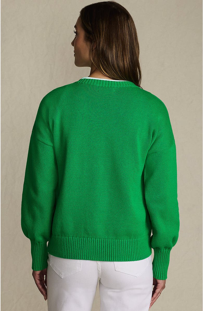 Lands' End Drifter Jersey Crewneck Sweater, Alternate, color, True Green/Ivory New York
