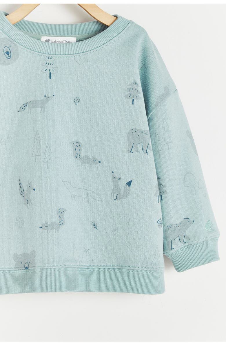 Babycottons Premium Cotton Merlin Print Sweatshirt For Infant, Alternate, color,