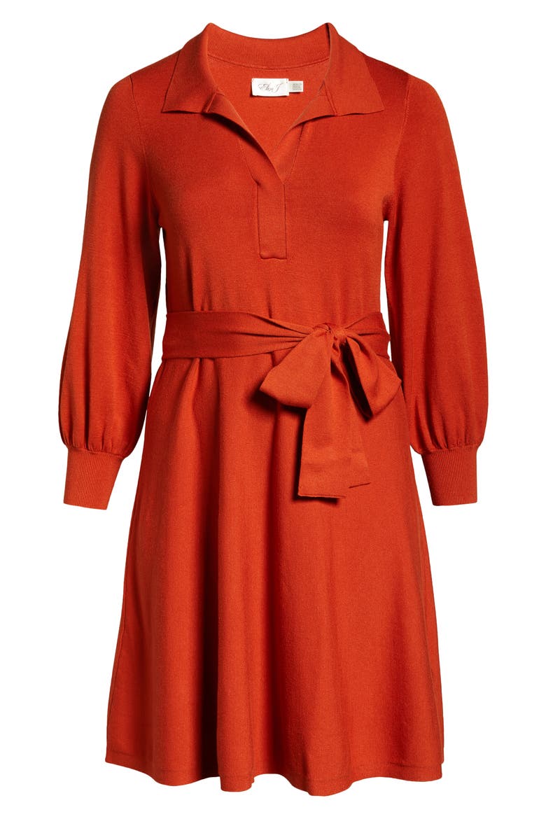 Tie Waist Split Neck Long Sleeve Sweater Dress, Alternate, color, SPICE