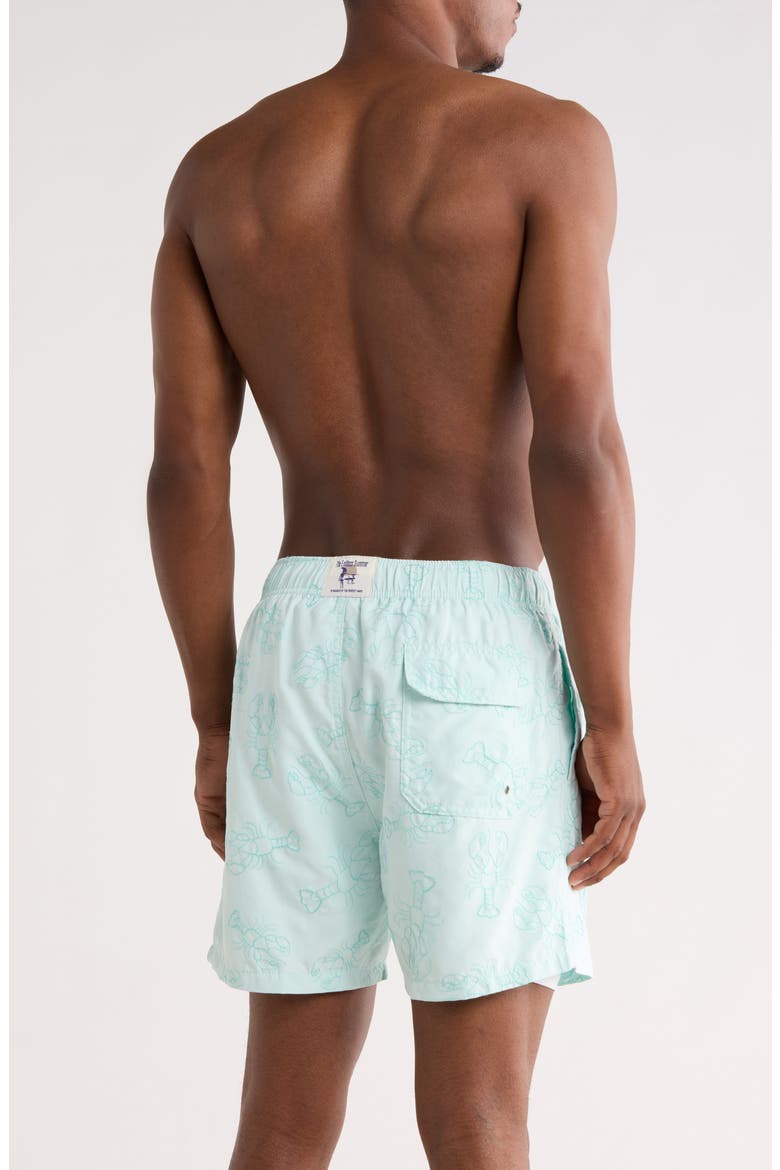 Embroidered Lobster Volley Swim Trunks, Alternate, color, GREEN