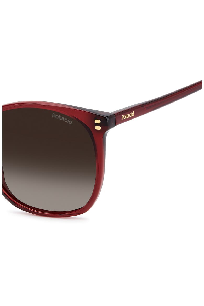 55mm Polarized Gradient Square Sunglasses, Alternate, color, RED/ BROWN SF PZ