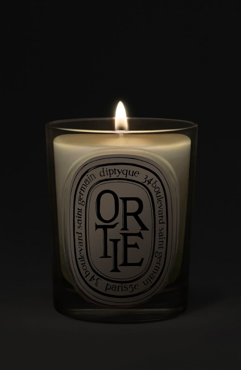 Diptyque Ortie (Nettle) Classic Candle, Alternate, color, 
