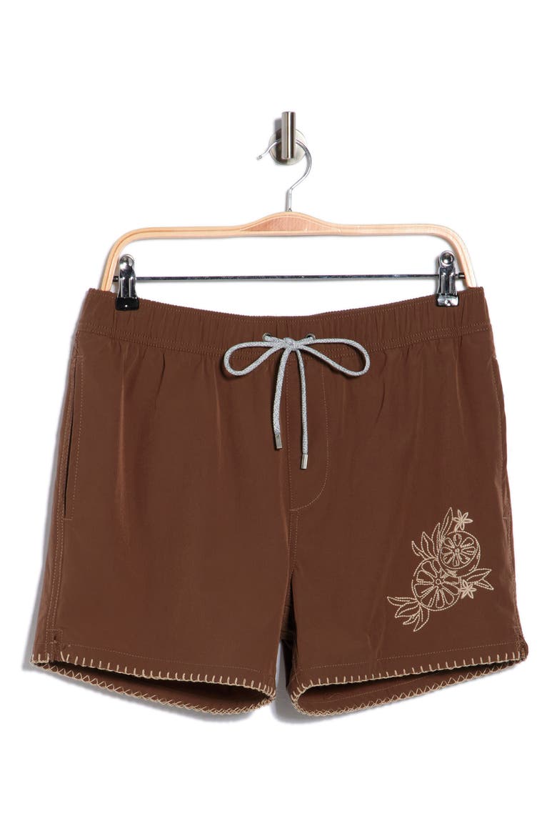 Embroidered Shortie Volley Swim Trunks, Alternate, color, COFFEE
