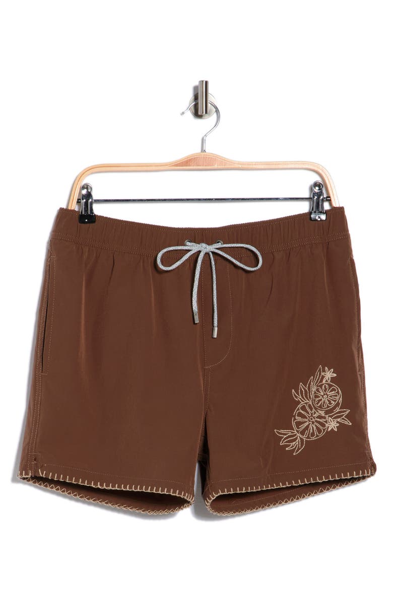 Vintage Summer Embroidered Shortie Volley Swim Trunks, Alternate, color, Coffee