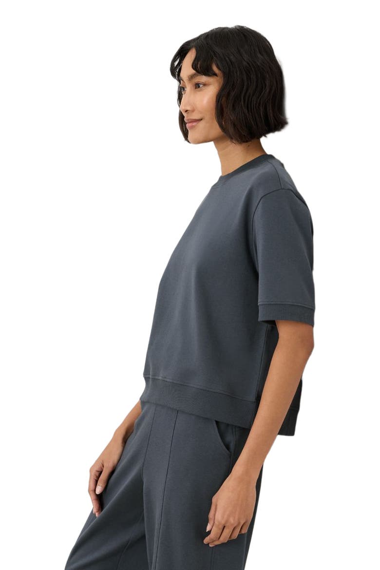 Organic Cotton Airplane Sweatshirt Tee, Alternate, color, Steel Blue