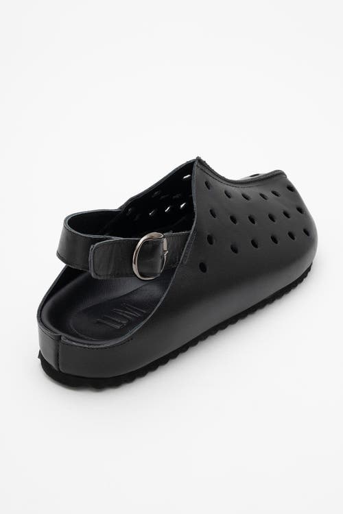 Forever & Always Shoes Justa Leather Clogs In Black Leather