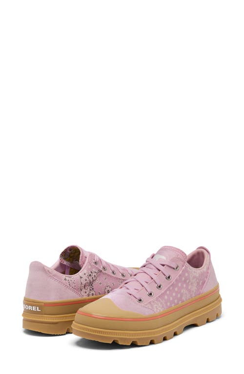 Sorel Scout N About™ Low Sneaker In Aura/gum