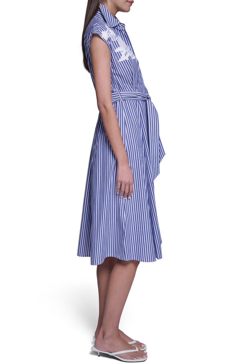 Striped Shirt Dress, Alternate, color, BLUE/ WHITE