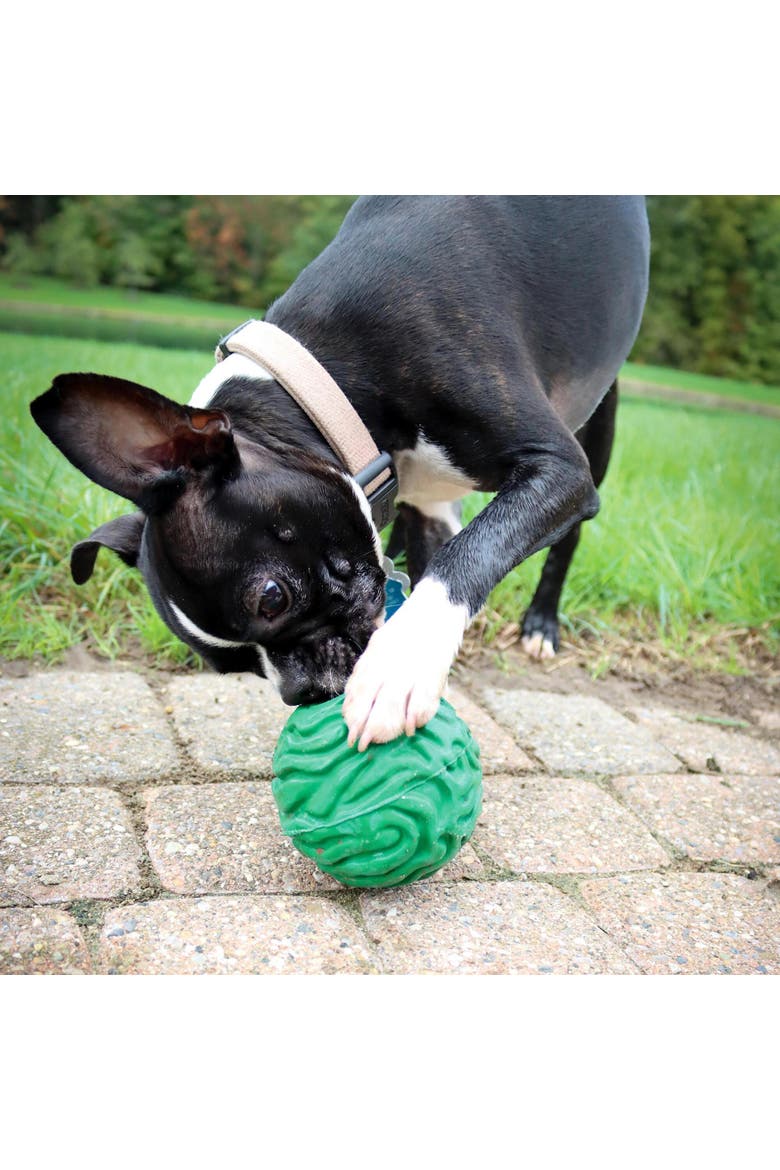 Luna Ball, 4 Inches, Large, Green, Dog & Puppy Toy, Alternate, color, Green