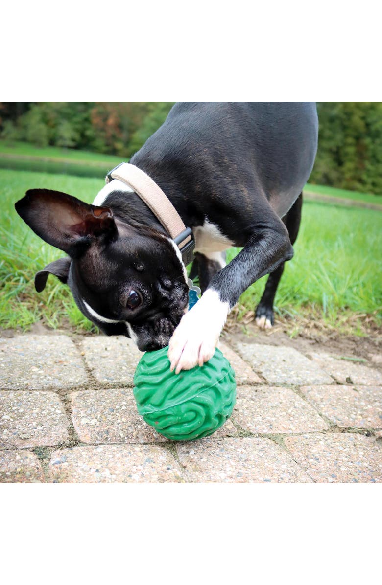 PetKORE Luna Ball, 4 Inches, Large, Green, Dog & Puppy Toy, Alternate, color, Green