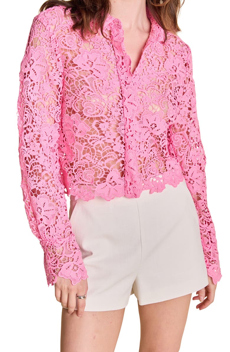 Endless Rose Lace Crop Shirt, Alternate, color, Pink