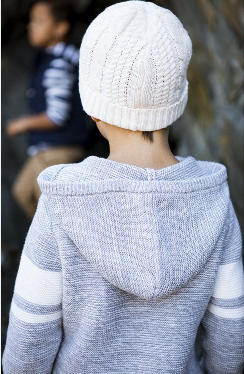 Hope & Henry Baby Boys' Hooded Pullover Sweater, Infant, Alternate, color, Grey