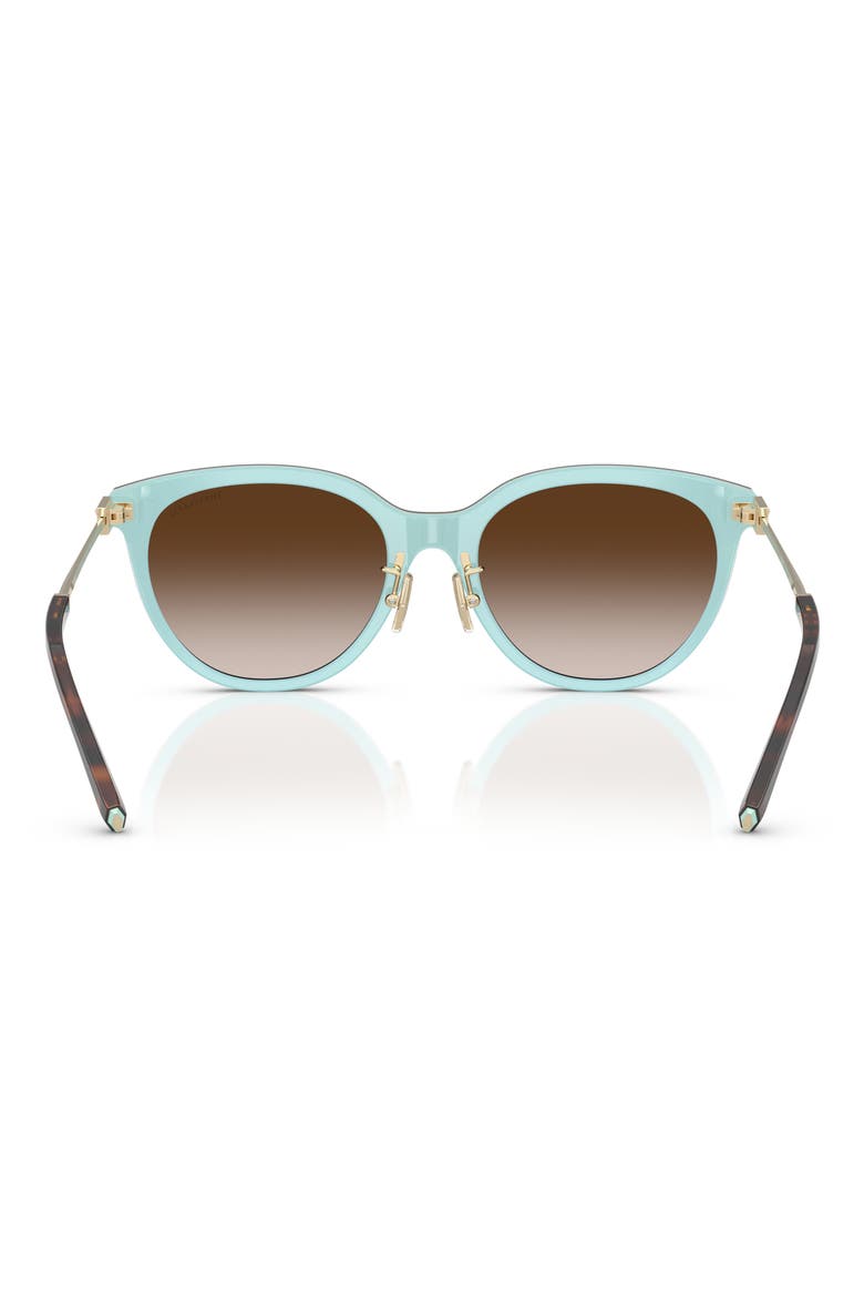 55mm Round Sunglasses, Alternate, color, HAVANA ON TIFFANY BLUE / BROWN