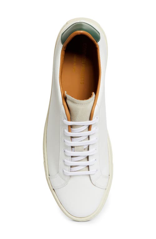 Common Projects Retro Classic Low Top Sneaker In 0590 White/green