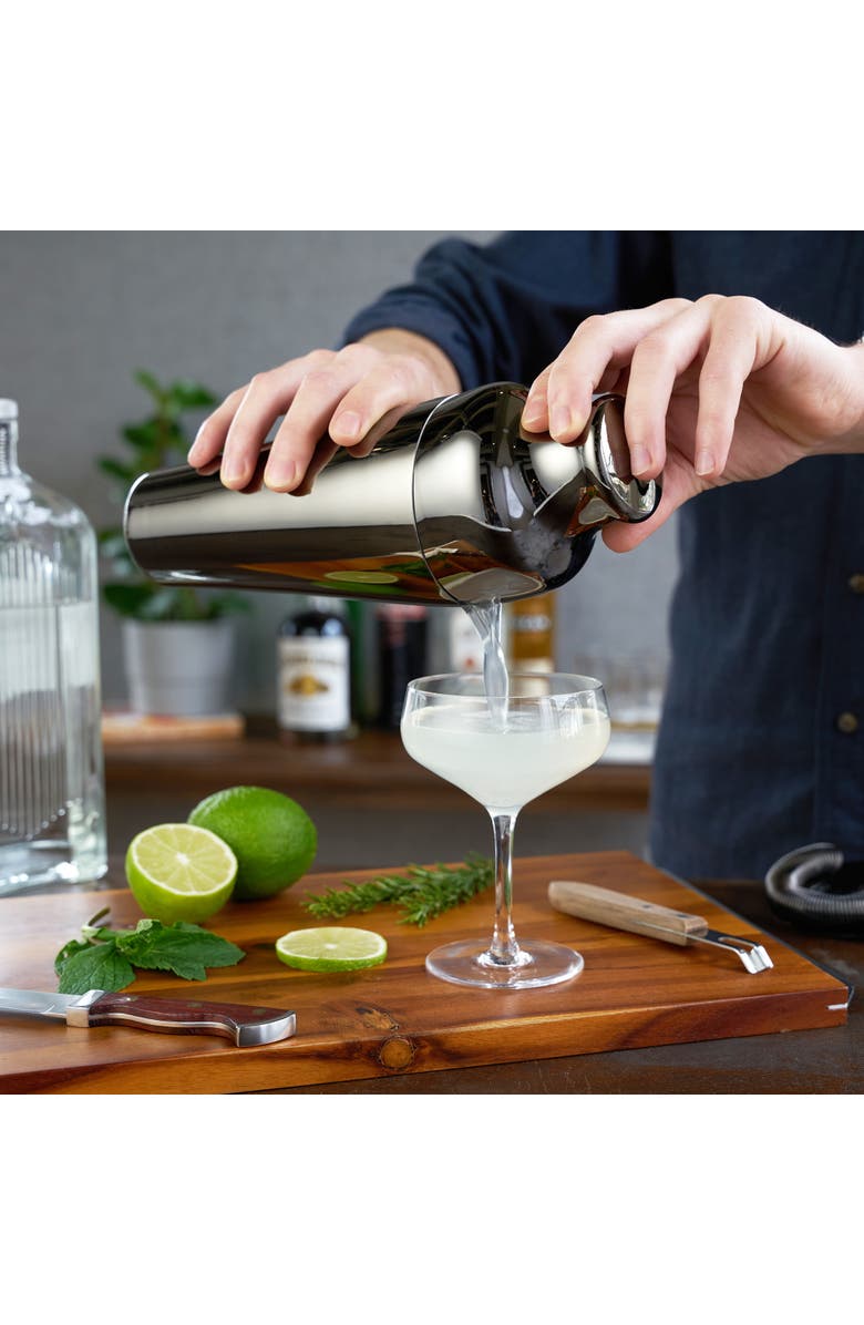 Viski Parisian Cocktail Shaker, Alternate, color, Warren