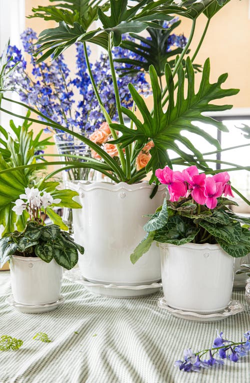 Juliska Berry & Thread Planter With Saucer