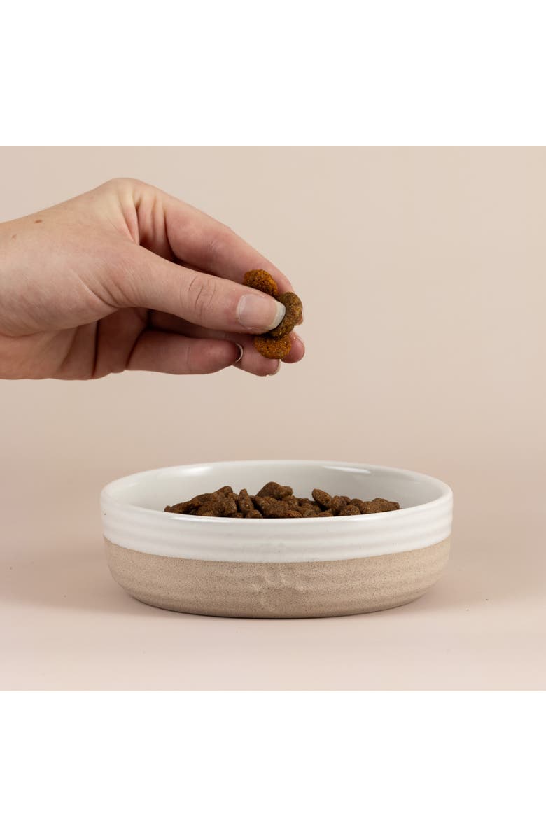 MASON CASH Heart Paw Pet Bowl, 5.1 Inch, 8.4oz, Food Water Dish, Alternate, color, Multicolored