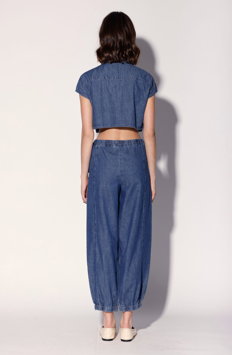 Walter Baker Brenner Pant, Alternate, color,