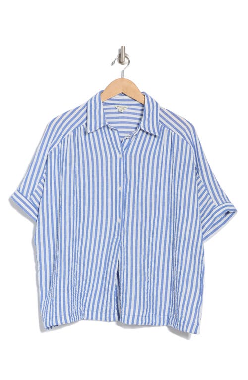 Max Studio Stripe Short Sleeve Textured Button-up Shirt In Blue