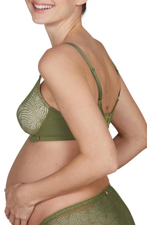 Cache Coeur Dahlia Pregnancy And Nursing Bra In Green